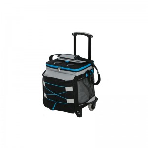 Picnic Plus by Spectrum 48 Can Bluetooth Beast Cooler PICI1659